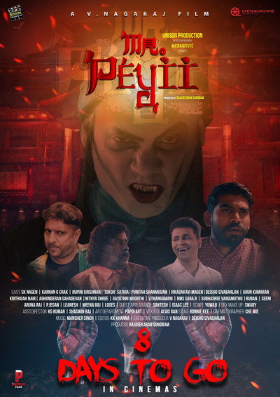 Póster de Mr. Peyii