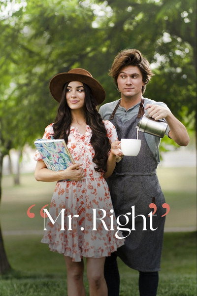 Póster de Mr. Right