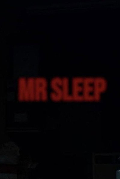 Póster de Mr Sleep