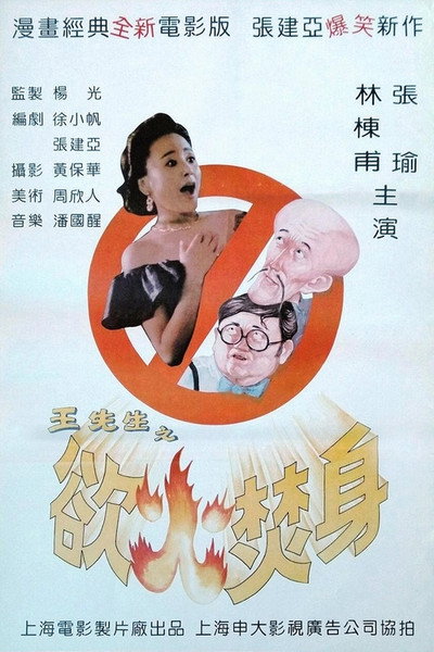 Póster de Mr. Wang's Burning Desire