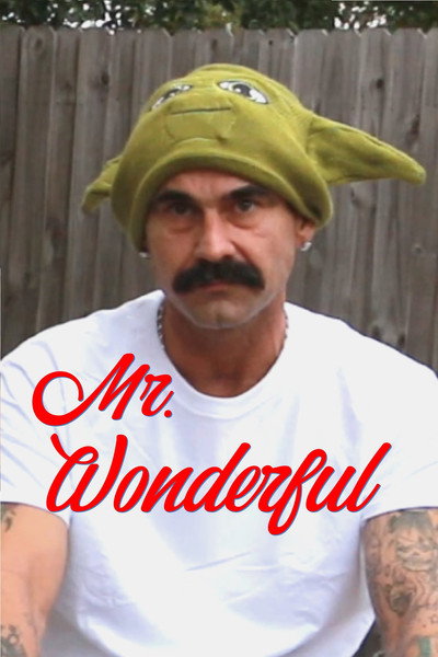 Póster de Mr. Wonderful