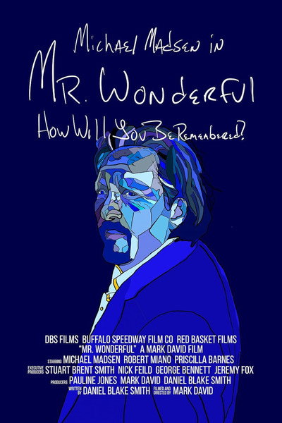 Póster de Mr. Wonderful