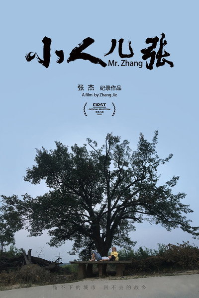 Póster de Mr. Zhang
