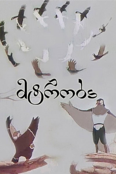 Póster de Mtroba