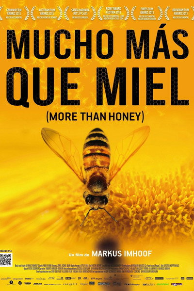 Póster de Mucho más que miel: More Than Honey