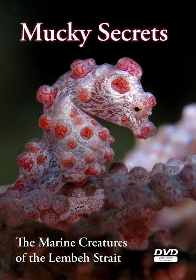 Póster de Mucky Secrets: The Marine Creatures of the Lembeh Strait