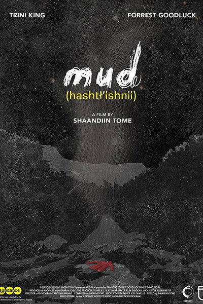 Póster de Mud