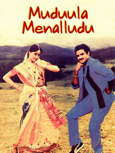 Póster de Muddula Menalludu