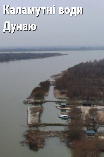 Póster de Muddy Waters of the Danube