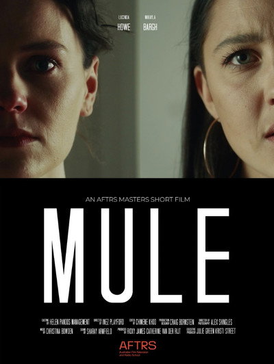 Póster de Mule