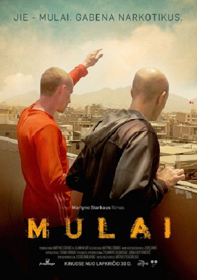 Póster de Mules