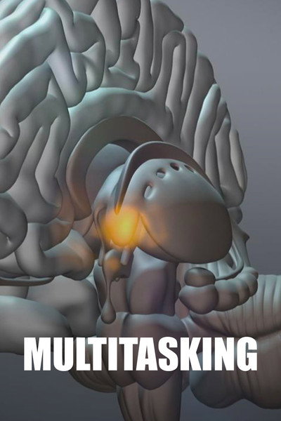 Póster de Multitasking: Wie viel geht gleichzeitig?