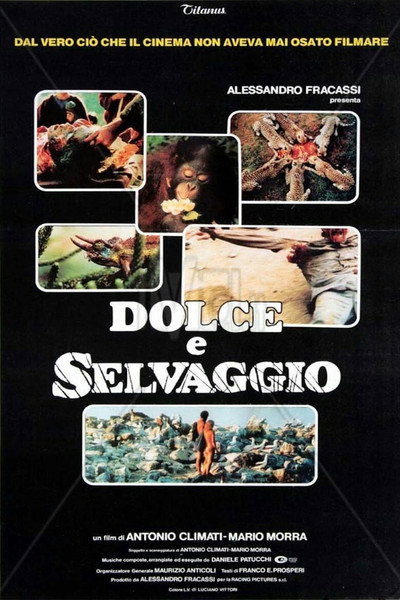 Póster de Mundo dulce y cruel