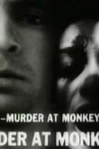 Póster de Murder at Monkey Hill