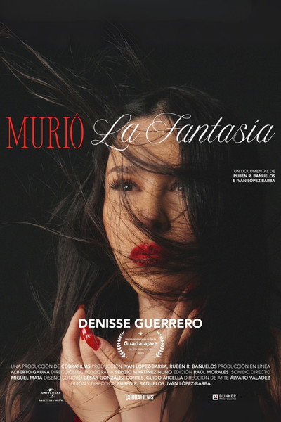 Póster de Murió la Fantasía