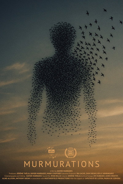 Póster de Murmurations