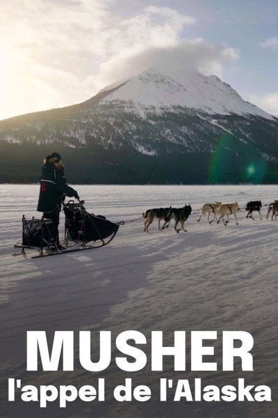 Póster de Musher, l'appel de l'Alaska