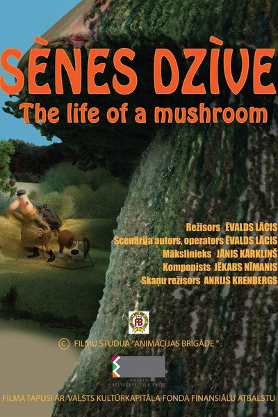 Póster de Mushroom's Life