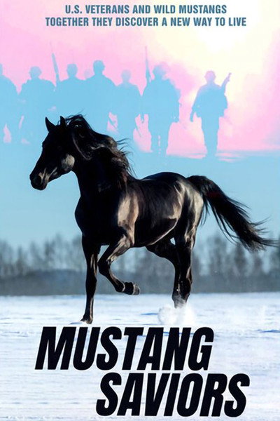 Póster de Mustang Saviors