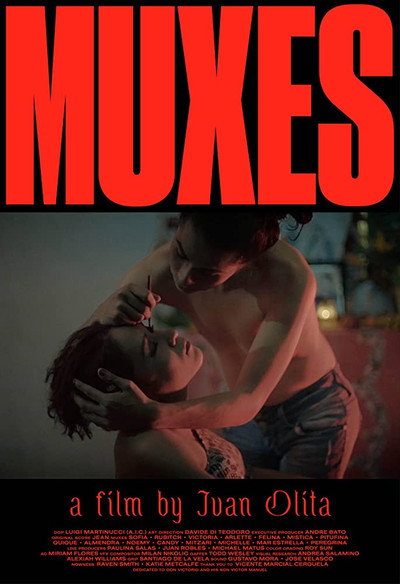 Póster de Muxes