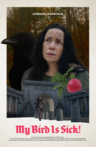 Póster de My Bird Is Sick!