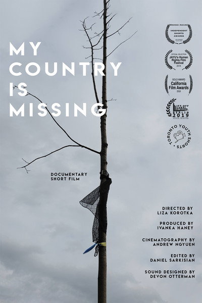 Póster de My Country Is Missing