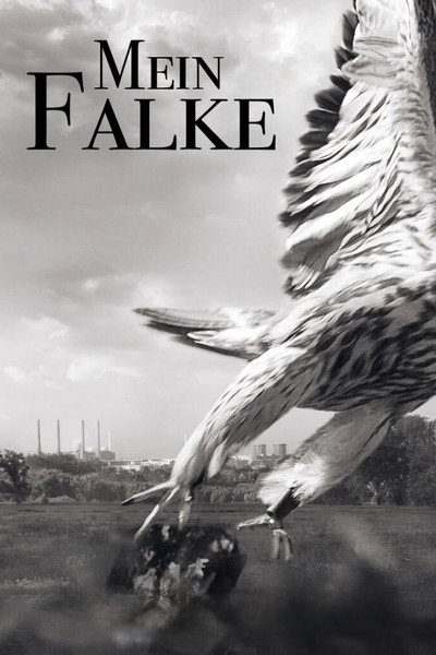 Póster de My Falcon