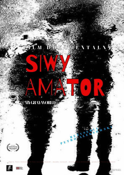 Póster de My Gray World