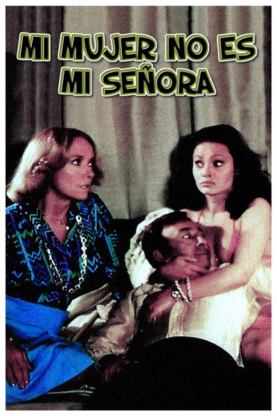 Póster de My Husband Doesn't Do It