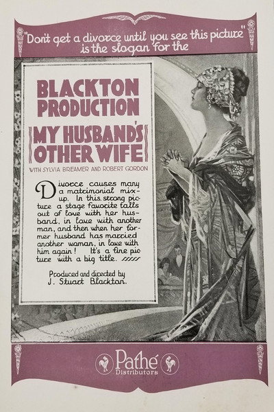 Póster de My Husband's Other Wife