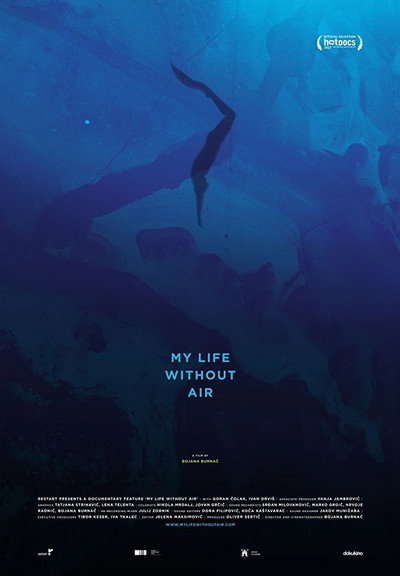 Póster de My Life Without Air