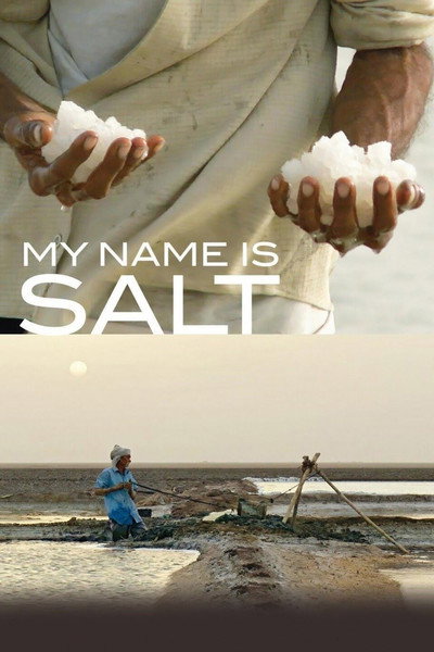 Póster de My Name Is Salt