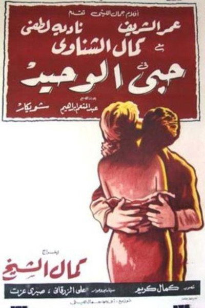 Póster de My Only Love