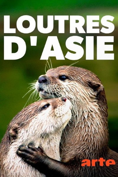 Póster de My Otter Diary