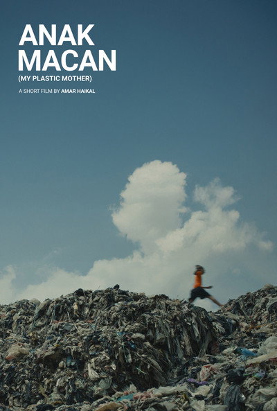 Póster de My Plastic Mother