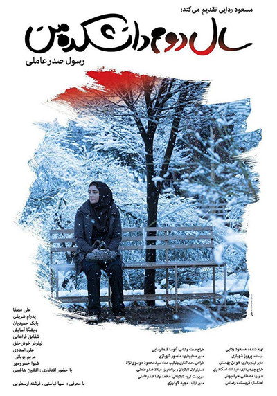 Póster de My Second Year in College