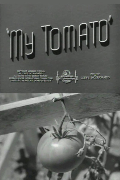 Póster de My Tomato