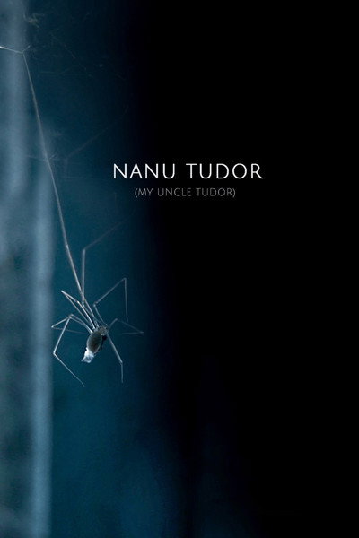 Póster de My Uncle Tudor