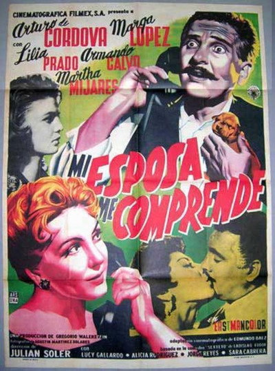 Póster de My Wife Understands Me