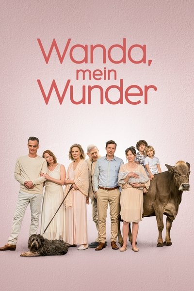 Póster de My Wonderful Wanda