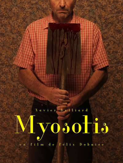 Póster de Myosotis