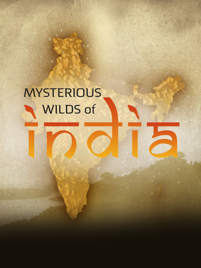 Póster de Mysterious Wilds of India