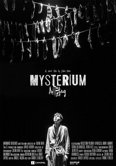 Póster de Mysterium Alltag