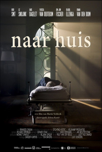Póster de Naar huis