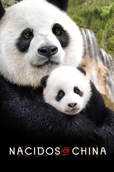 Póster de Nacidos en China