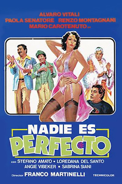 Póster de Nadie es perfecto