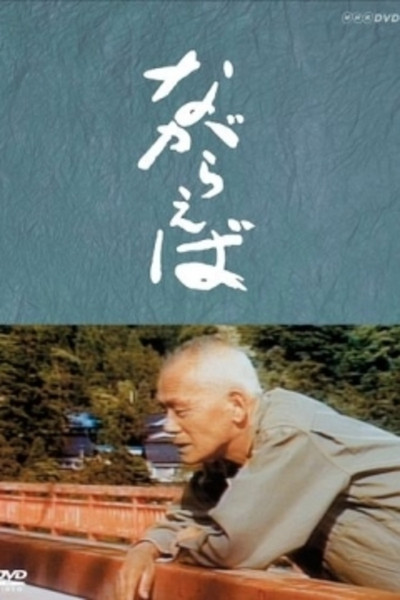 Póster de Nagaraeba