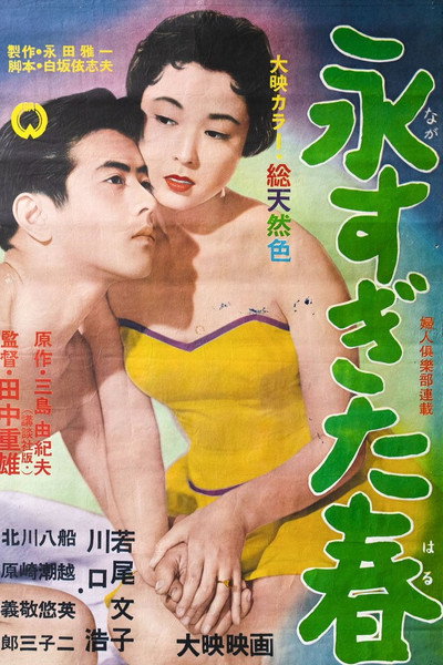 Póster de Nagasugita haru