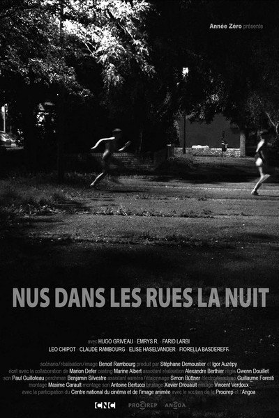 Póster de Naked in the Streets at Night