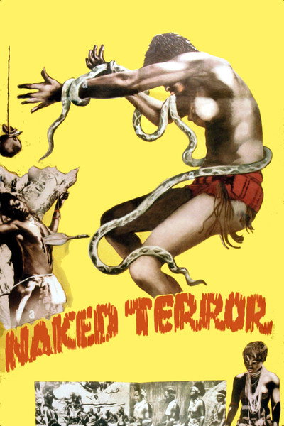 Póster de Naked Terror